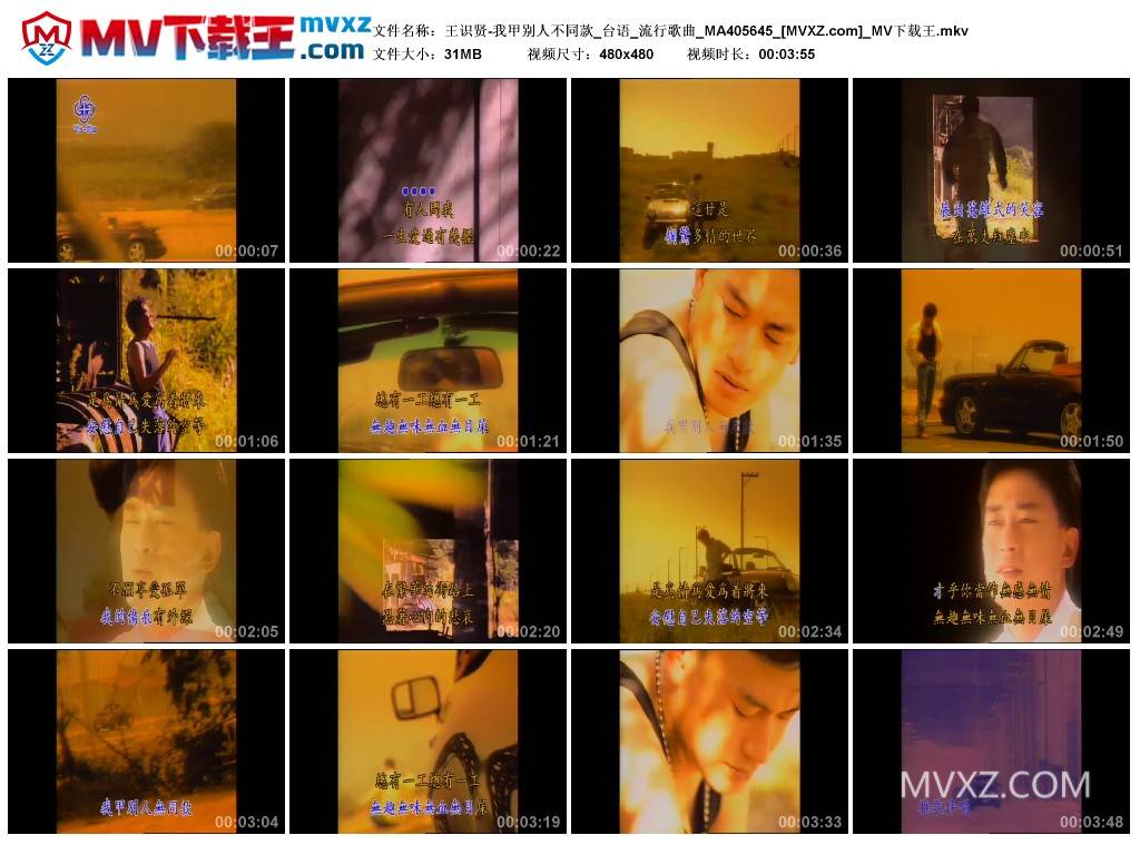 王识贤-我甲别人不同款_台语_流行歌曲_MA405645